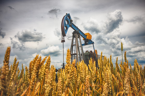 Как Россия обанкротит Америку. Нефть, зерно, удобрения - еще одно измерение войны