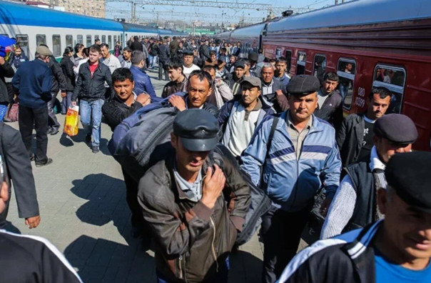 В Подмосковье выявили 120 нелегальных мигрантов