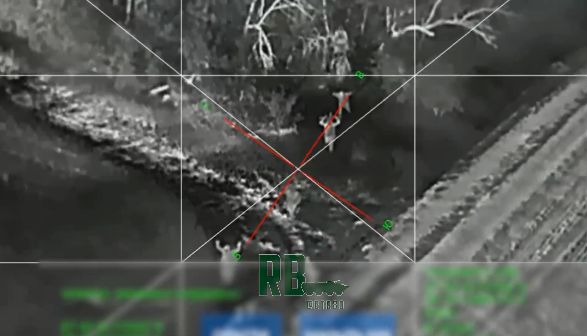 Дружною толпою... сдались в плен