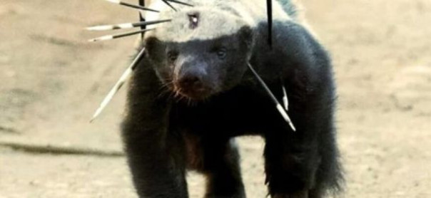 ИМХО. Александр Роджерс