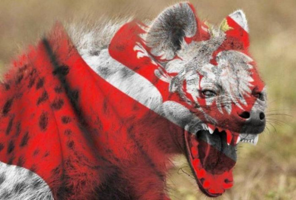 «Мы уже на грани». Польша отказывается принимать украинских беженцев