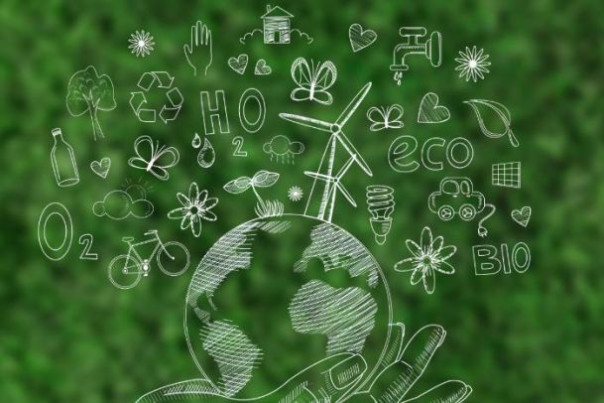Система экологического менеджмента: плюсы и получение сертификата