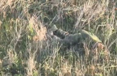 Боевики ВСУ снова убили собственного сослуживца, который намеревался сдаться в плен