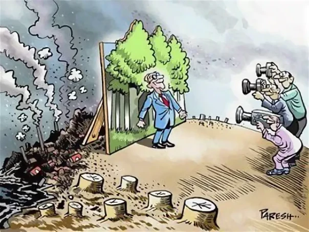 Боррелька, твой сад завял