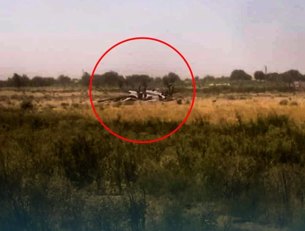 Американцы в Сирии сбили собственный  БПЛА MQ-1C Gray Eagle, принадлежавший ВВС США