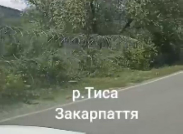 Западную границу Украины обнесли колючей проволокой для предотвращения бегства уклонистов (видео)