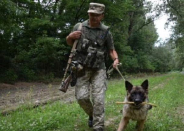 В Одесской области в 30 км от границы пограничники застрелили мужчину