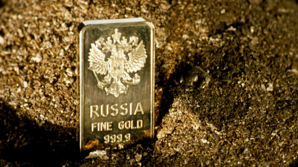 Международные резервы России достигли максимума с марта 2022 года