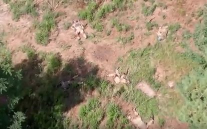 В Курской области уничтожили новую группу десантников ВСУ