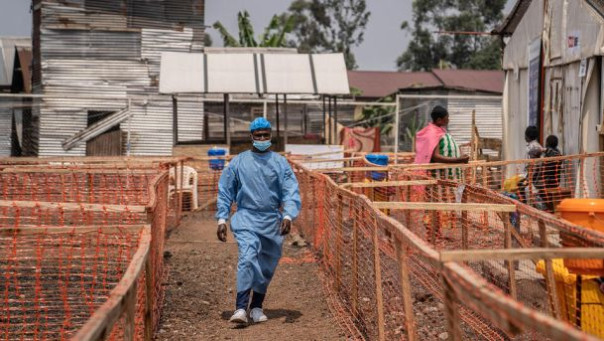 Новый опасный вирус: нужно создать защиту на ранних стадиях