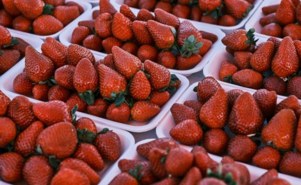 В клубнике из Армении нашли пестицид, разрушающий эндокринную систему