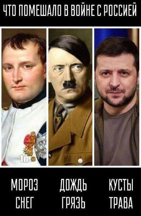 Гитлеры. Гитлеры никогда не меняются. Александр Роджерс