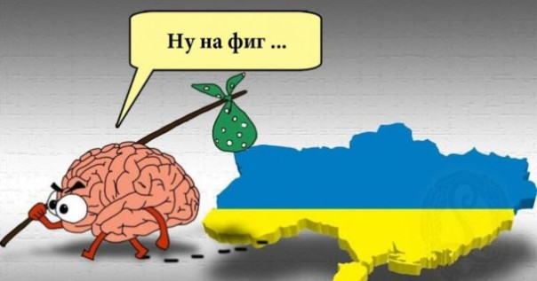 Украина: без мозгов не страшно. Большая фронтовая сводка 2 сентября 2024 года