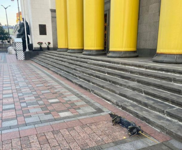 "Ночная атака на Верховную раду": Украинский инсайдер рассказал, откуда появились обломки дрона