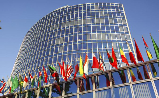 Женева вынесла приговор нашей науке. Россияне в тот же день продемонстрировали силу мысли