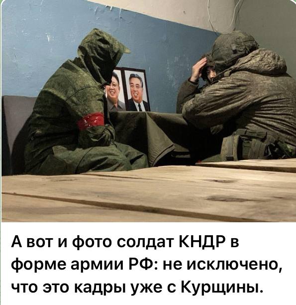 Пентагон раскрыл, где и когда солдаты из КНДР вступят в бой за ВС РФ