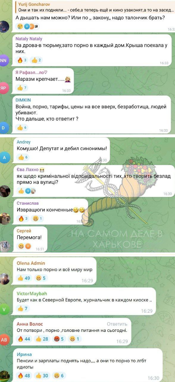 Верховна зРада зарегистрировала доработанный законопроект о декриминализации порнографии