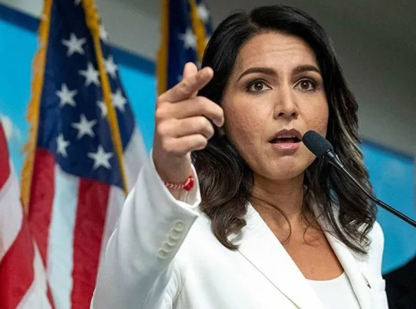 Будущая глава Нацразведки США Тулси Габбард назвала Зеленского диктатором, а его правительство авторитарным