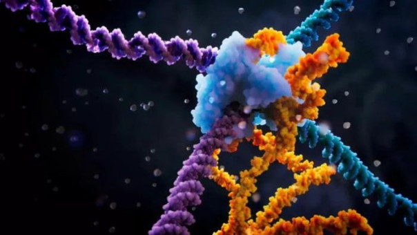 Генетики Пентагона нацелились на создание суперсолдат для биологической войны