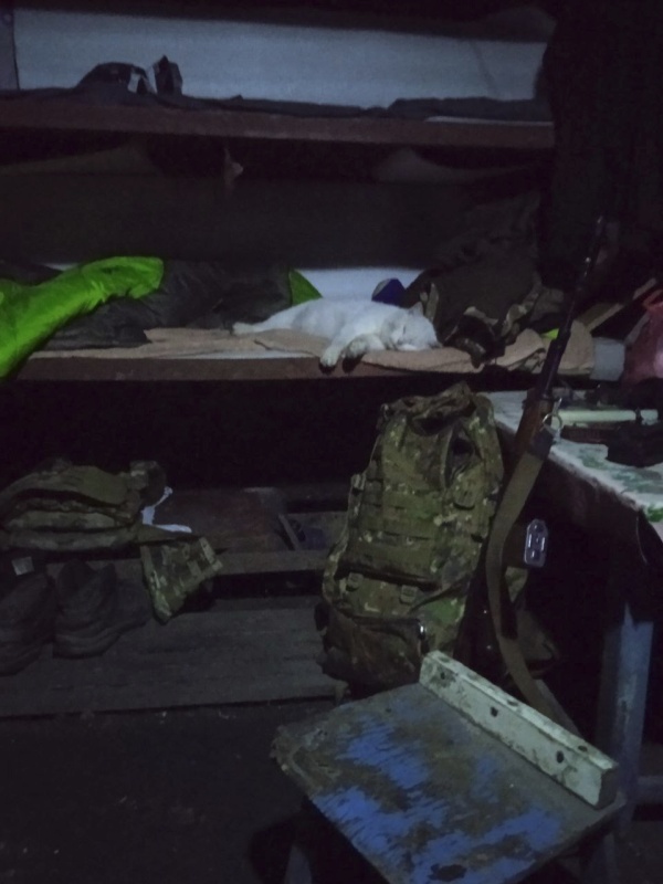 Новый Год на передовой: личный опыт