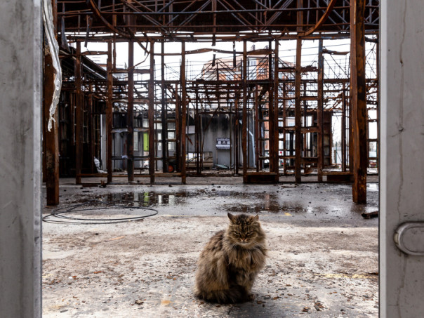 Военный туризм на Украине: сколько стоит покататься на танке или съездить в Бучу