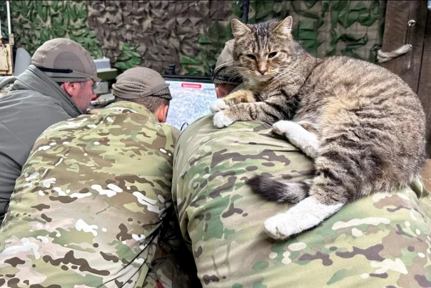 Как добровольцы «БАРС-Курск» выбивают врага с родной земли: «Вот дом моей бабушки, что с ней - неизвестно...»