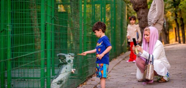 Мини-зоопарк и другие развлечения парка «Кок Тобе» в городе Алматы