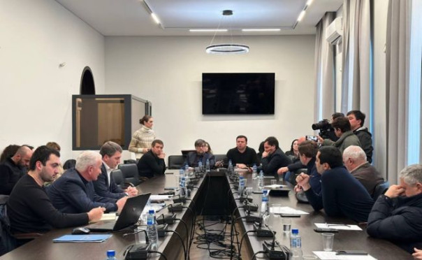 В Абхазии ищут пути выхода из энергокризиса, но находят «черные пятна»