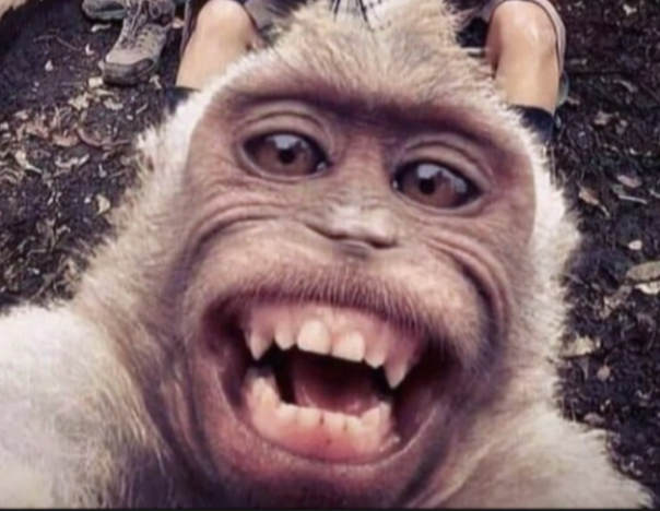 "Их" ценности за две минуты... Аркадий, чего ты ржешь?