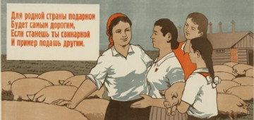 Рекорд по производству мяса в РФ