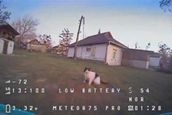 Я вам не «кiт»! - кот cбил лапой украинский fpv-дрон.