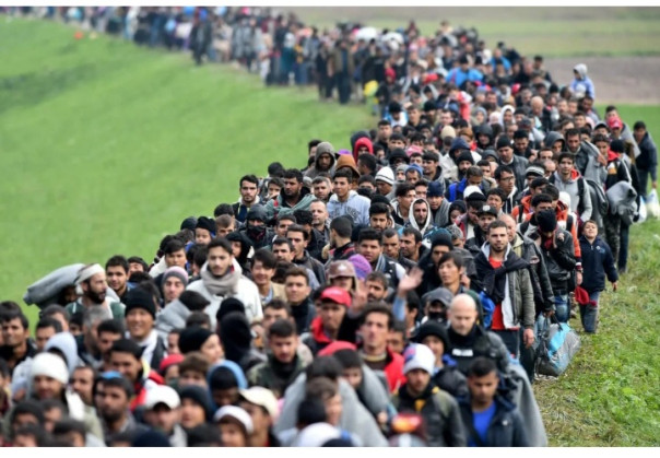 Продолжают приходить отличные новости по миграционному вопросу