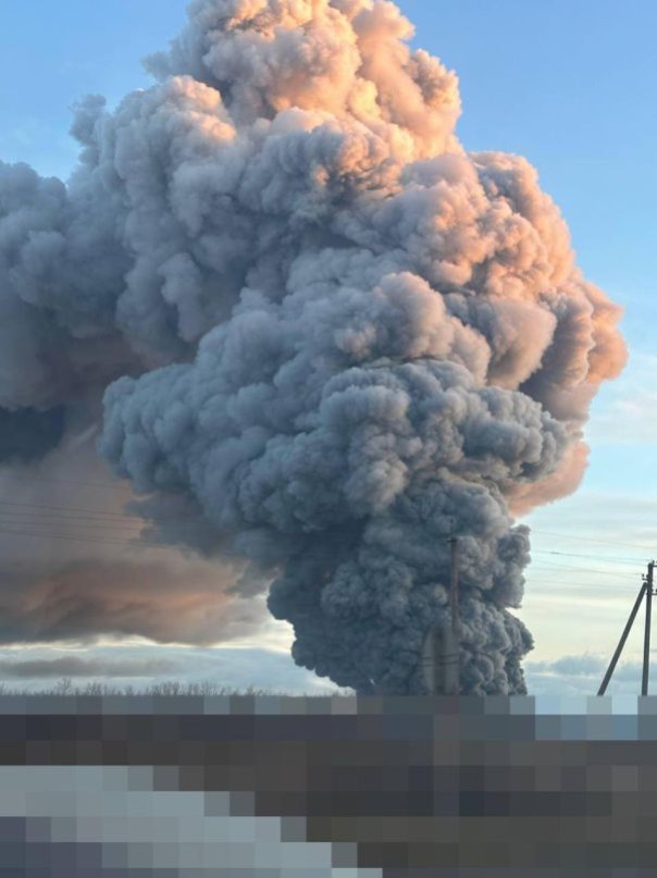 ВСУ с помощью БПЛА атаковали одно из ведущих предприятий, которое занимается производством мяса птицы