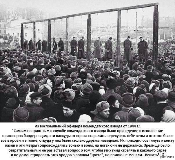 И заморозка. Александр Роджерс