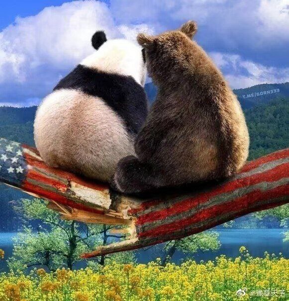 Дмитрий Евстафьев. Американский кнут и пряник: о политике США в отношении России и Китая