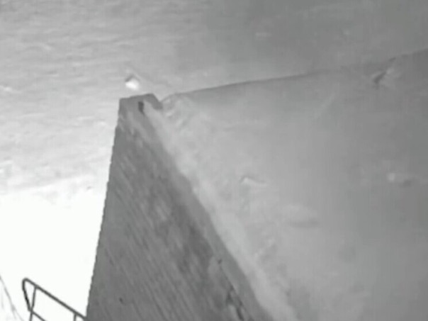 Призывавшего убивать участников СВО сотрудника мэрии нашли под многоэтажкой