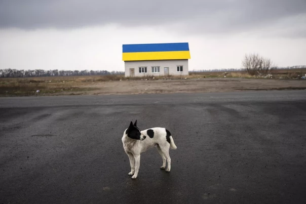 "Куда он делся?": в Киеве заявили о пропаже лучшего "друга" Украины