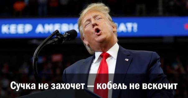 Сучка не захочет — кобель не вскочит