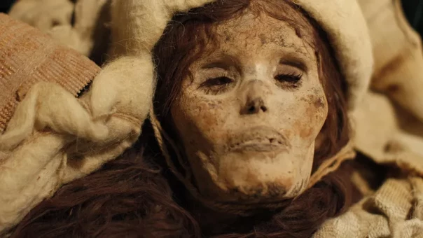 "Страшно до дрожи". Находка из Китая шокировала ученых