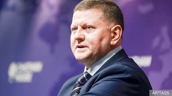 Залужный осудил Зеленского за курскую операцию и признал удручающее положение ВСУ