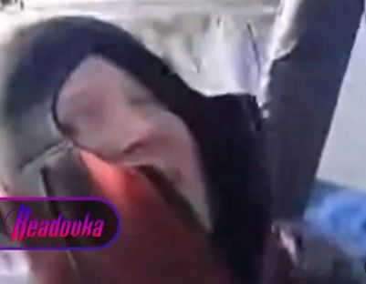 Отчаянный ухилянт-мореход Сашуня соорудил плот и поплыл в Румынию, спрашивая дорогу у чаек