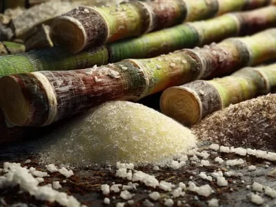 Сладости или гадости? Как отравленные Бредфордские леденцы навсегда изменили мир