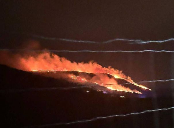 Ночью на границе между Индией и Пакистаном произошла новая перестрелка