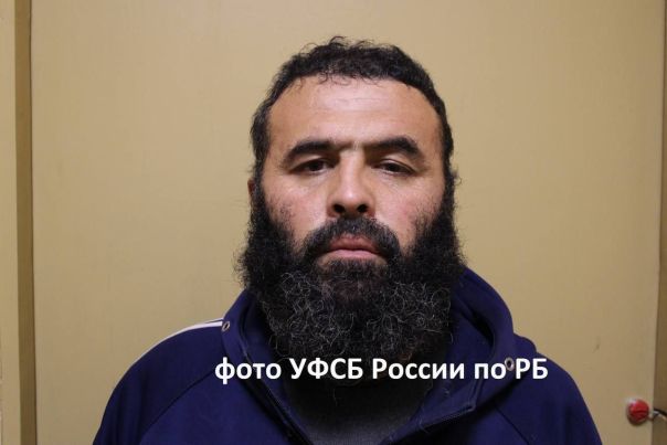 Террористы и сочувствующие