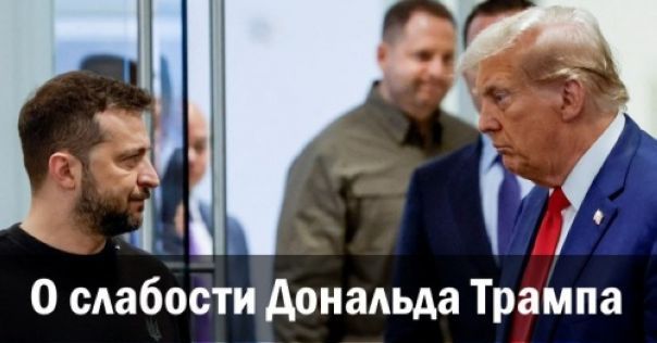 О слабости Дональда Трампа. Андрей Ваджра