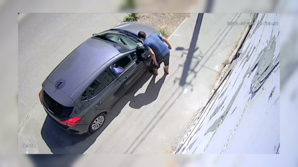 Мигрант плюнул на наклейку «Русская община», но потом заставили всё отмывать