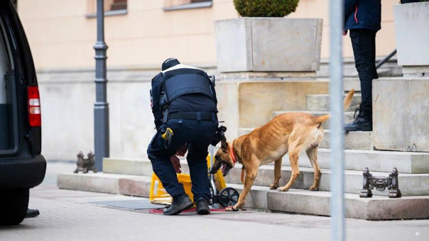 В Германии задержали группу молодых украинцев по подозрению в подготовке терактов, таких агентов могут быть сотни