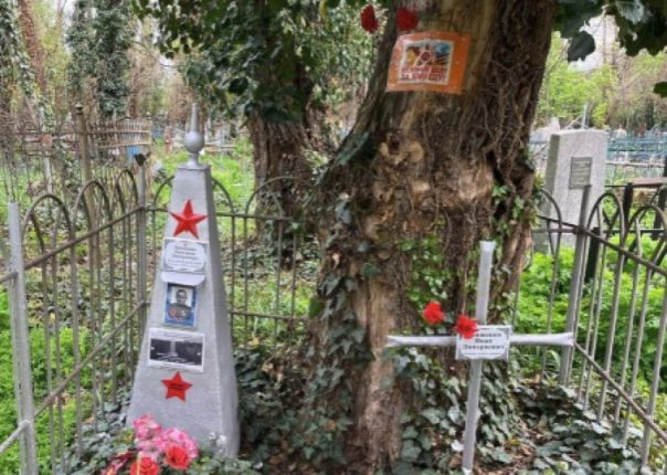 Мэр Краснодара обрадовался большому количеству могил с красными звёздами на кладбище