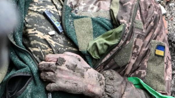 Британский подстрекатель войны озаботился проблемой сбора в полях черепов украинцев