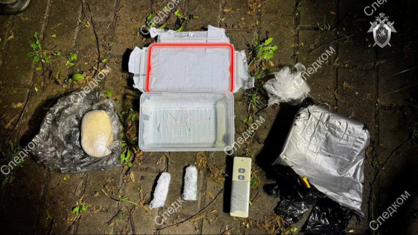 В Москве предотвратили теракт, который готовился по заданию украинских спецслужб, сообщил СК.